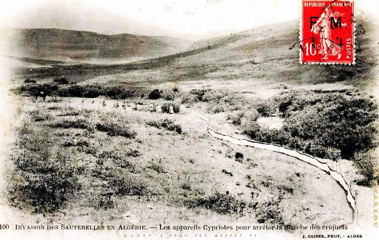 Algerie - Invasion Sauterelles - Appareils Cypriotes.jpg